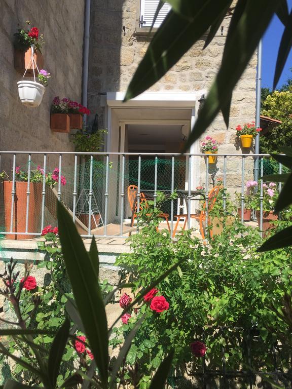 Maison De Vacances - Casa Mezanaccia Avec Terrasse Fleurie Meuble Tourisme 3 Etoiles Santa-Lucia-di-Tallano Bagian luar foto